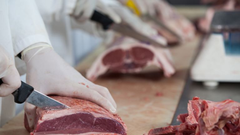 Meat Industry Pollution Facts and Statistics