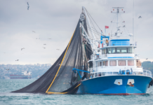 UK Fishing Industry Facts and Statistics