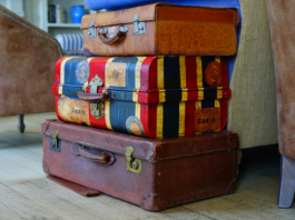 Luggage Industry Facts and Statistics