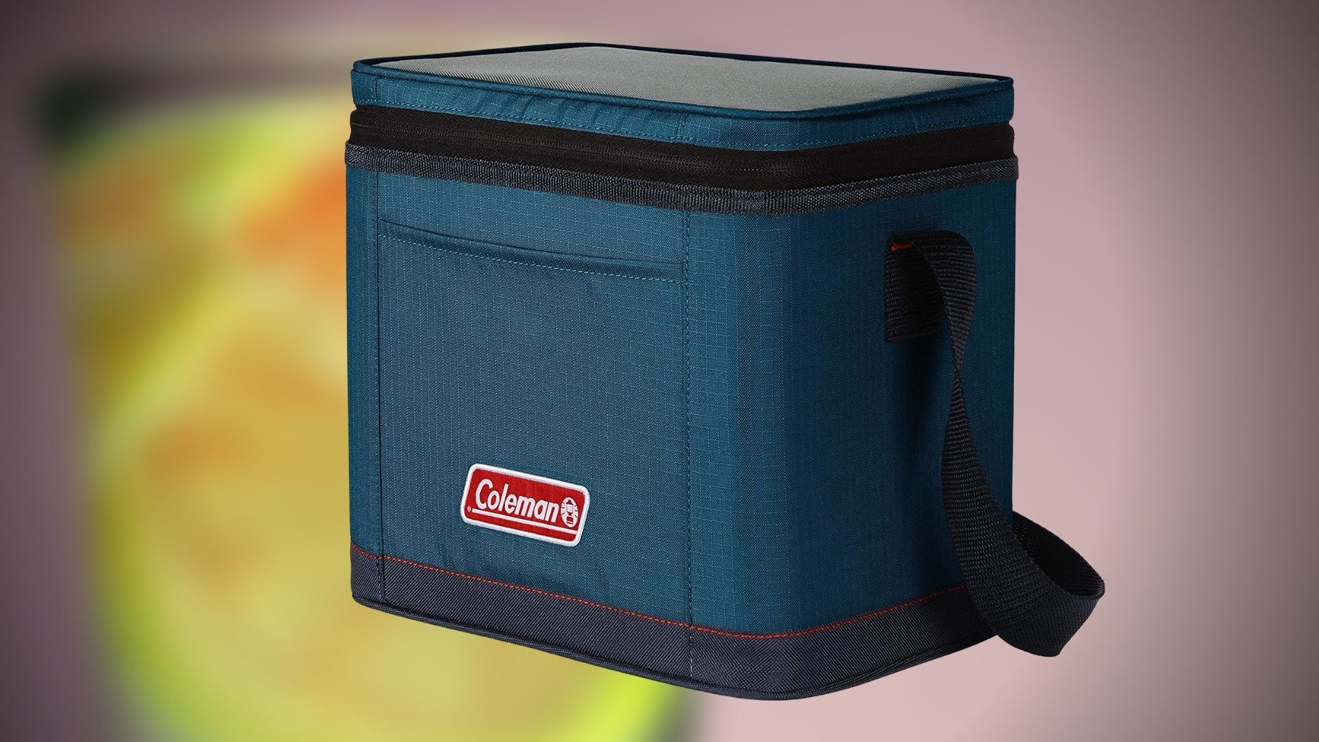 Top 10 Best Electric Cooler Brands in Canada TheDigitalHacker