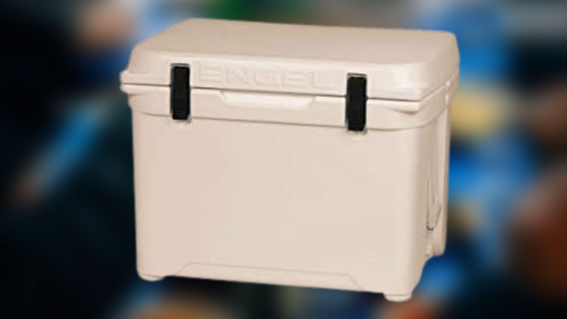 Top 10 Best Electric Cooler Brands in Canada in 2023 (Review