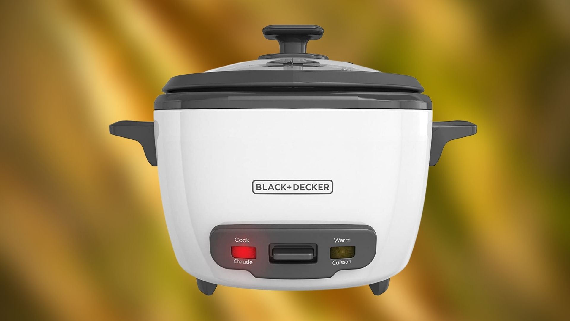 Top 10 Best Rice Cooker Brands in Canada. in 2023 (Review