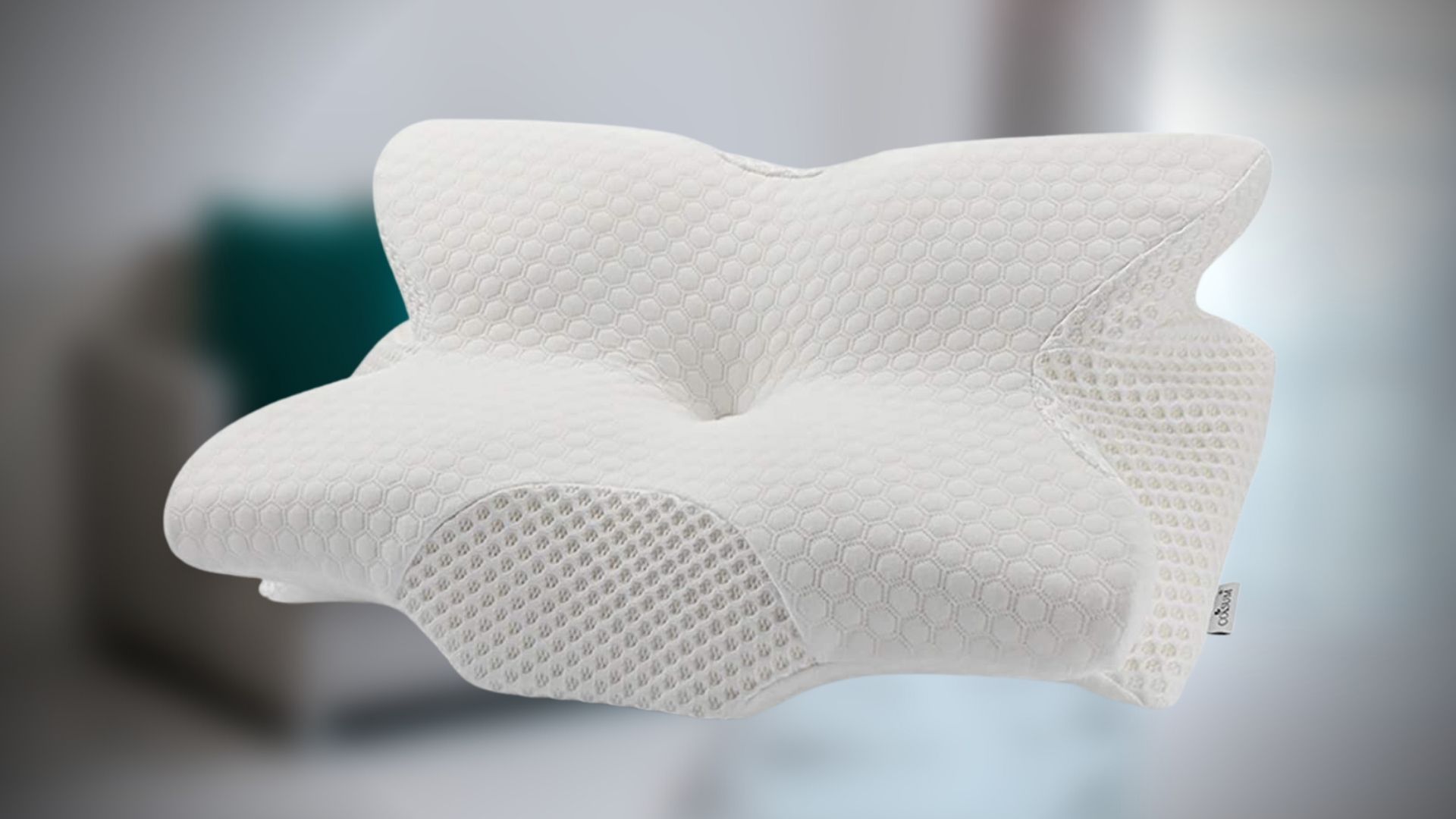 Top 10 Best Pillow For Neck Pain in Canada in 2024 (Review