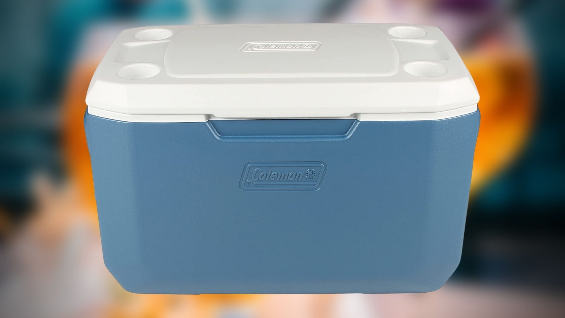 Top 10 Best Electric Cooler Brands in Canada in 2023 (Review