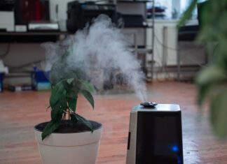 best humidifiers in canada