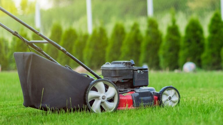 Top 9 Best Self-Propelled Lawn Mower