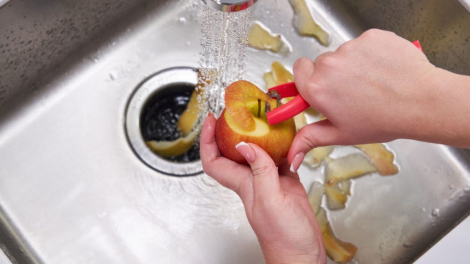 Top 7 Best Garbage Disposal Unit in 2021 TDH US