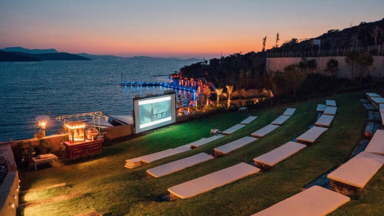 projector screen