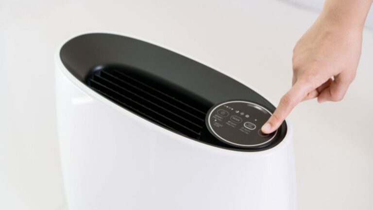 Top 13 best air purifier for mold