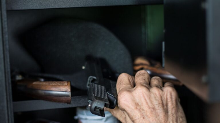 Top 13 best Biometric gun safe