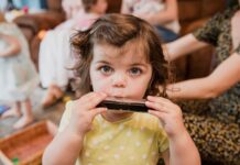 Top 13 Best Harmonica