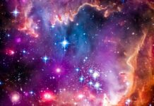 Top 13 Best Star Projectors