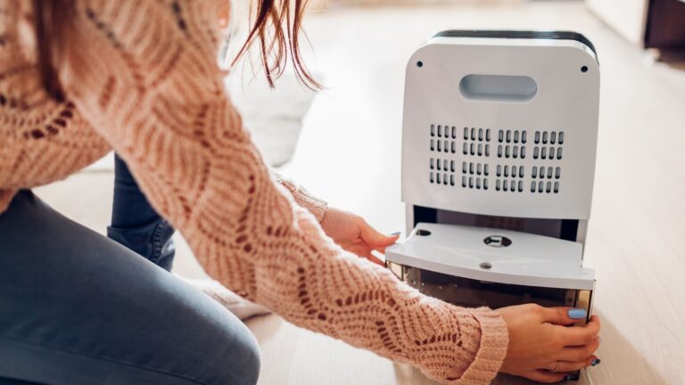 Top 13 best dehumidifier for basement