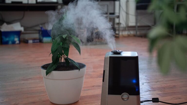 Top 13 Best Humidifiers For Sinus Problems