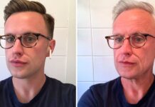 Top 10 best leaf blowers faceapp