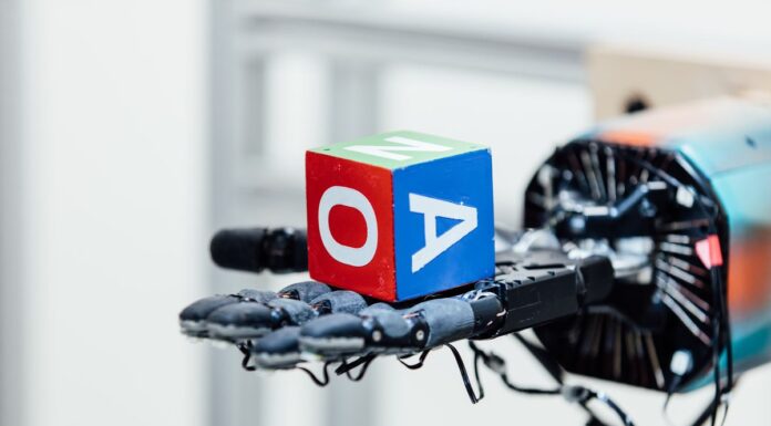 Did OpenAI Make A Risky Code? open ai