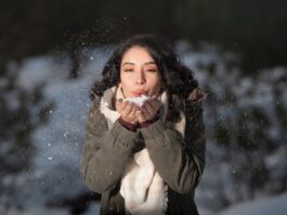 Top 7 Best Snow Blowers in 2022 snow blower