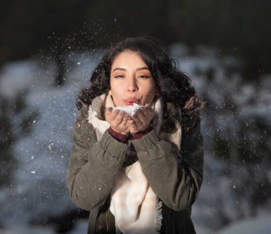 Top 7 Best Snow Blowers in 2022 snow blower