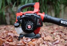 Top 10 Best Leaf Blowers in 2022