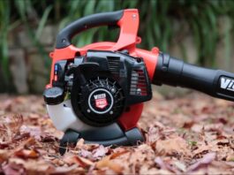 Top 10 Best Leaf Blowers in 2022