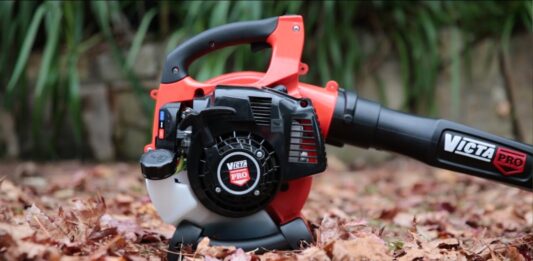 Top 10 Best Leaf Blowers in 2022