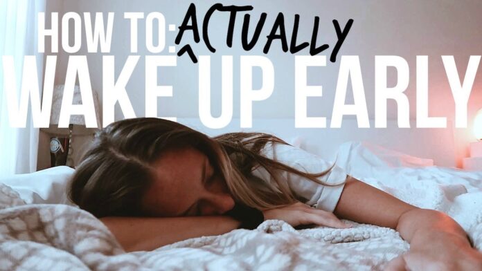 2333