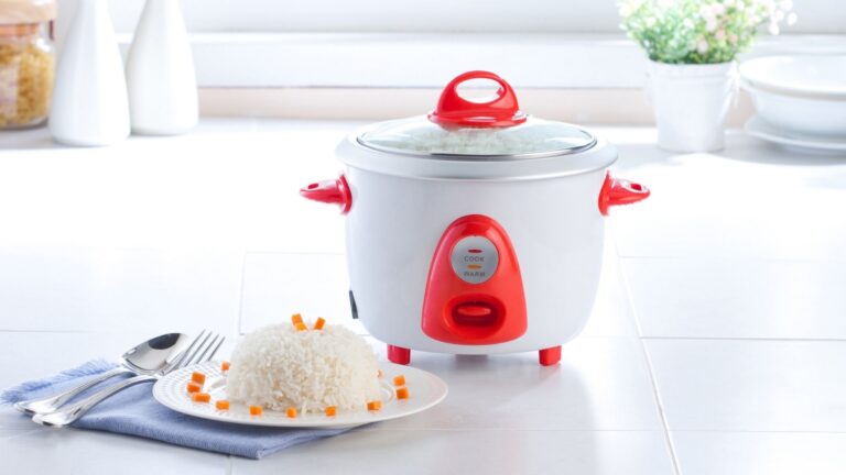Top 13 best rice cookers in 2022