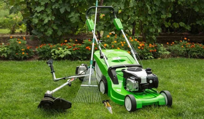 Best Lawn Mowers