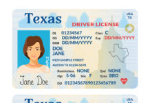 28 Million Licensed Texan Drivers Hit by a Data Breach