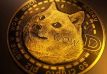 Dogecoin price dwindles with Elon Musk’s reference to it as a “hustle” during Saturday Night Live appearance