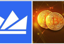 WazirX is being questioned by the NCB about a suspected drug dealer