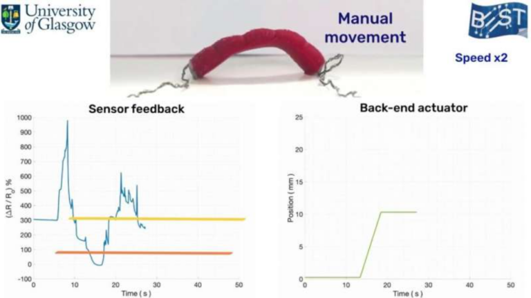 Robots with super-stretchy wormlike bodies that can ‘feel’ their environment