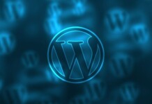 This security flaw in wordpress plugin can expose your website data