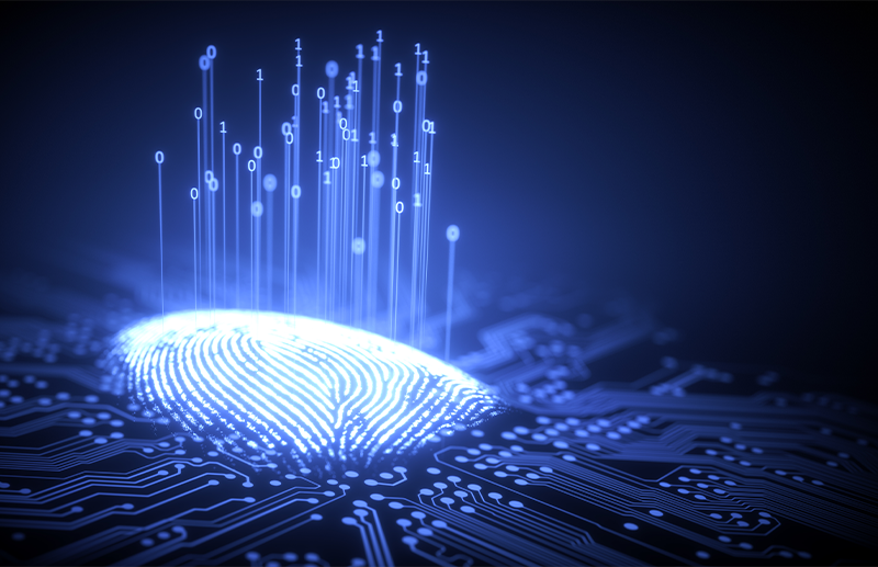 Fingerprint biometrics users roped by gummy browser, a malicious website 1