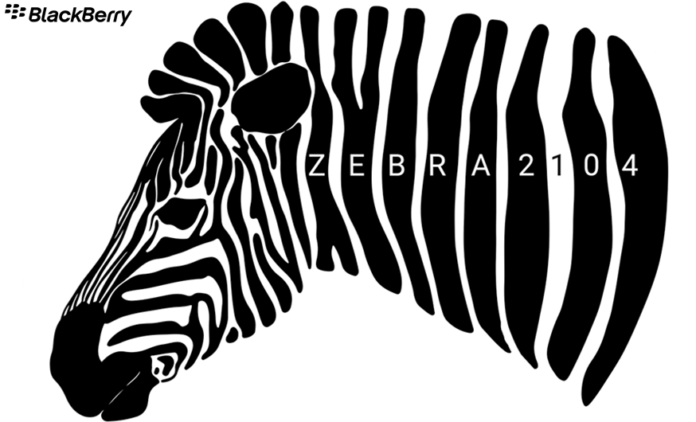 zebra2104-875x530-final
