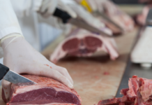 Meat Industry Pollution Facts and Statistics