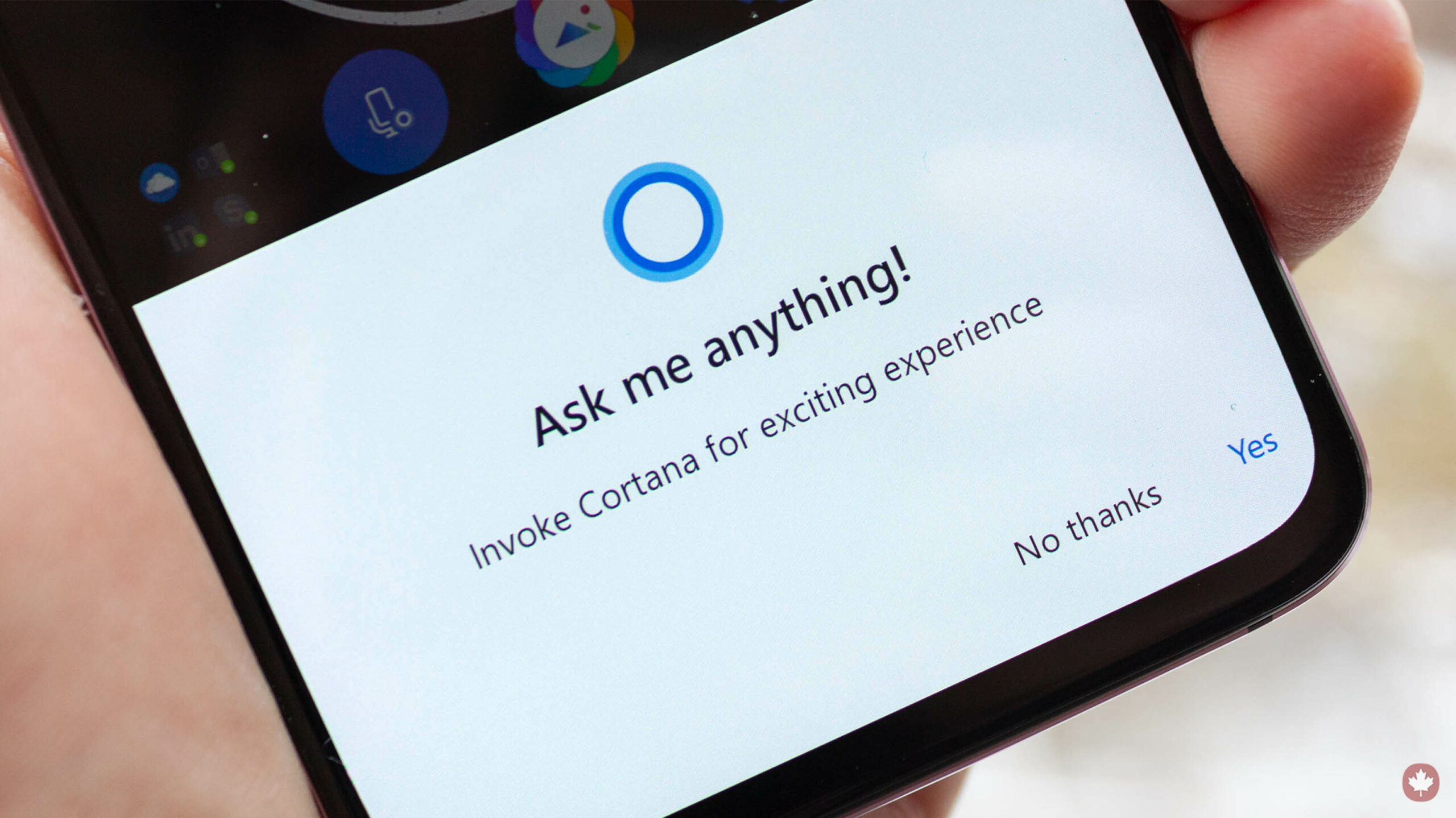 If Steve Ballmer had his way, Cortana would be entitled Bingo.