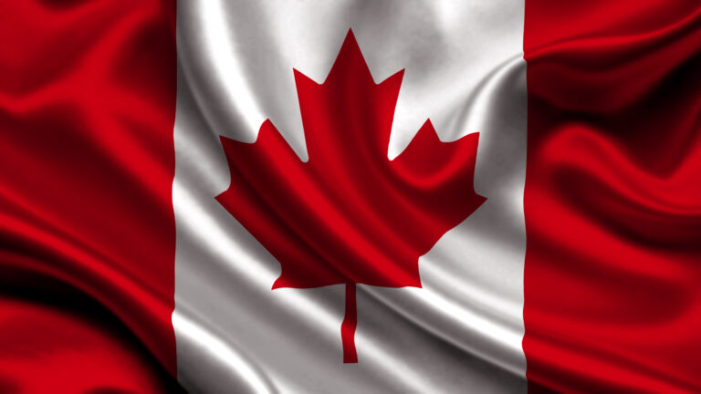 Programmers focus on Canada’s unfamiliar service in digital assault