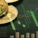 Bitcoin is losing its predominance over other cryptographic forms of money in instalments to vendors, cryptoprocessor BitPay says