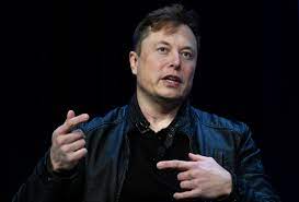 Tesla CEO Elon Musk and his sibling are being scrutinized for supposed insider exchanging