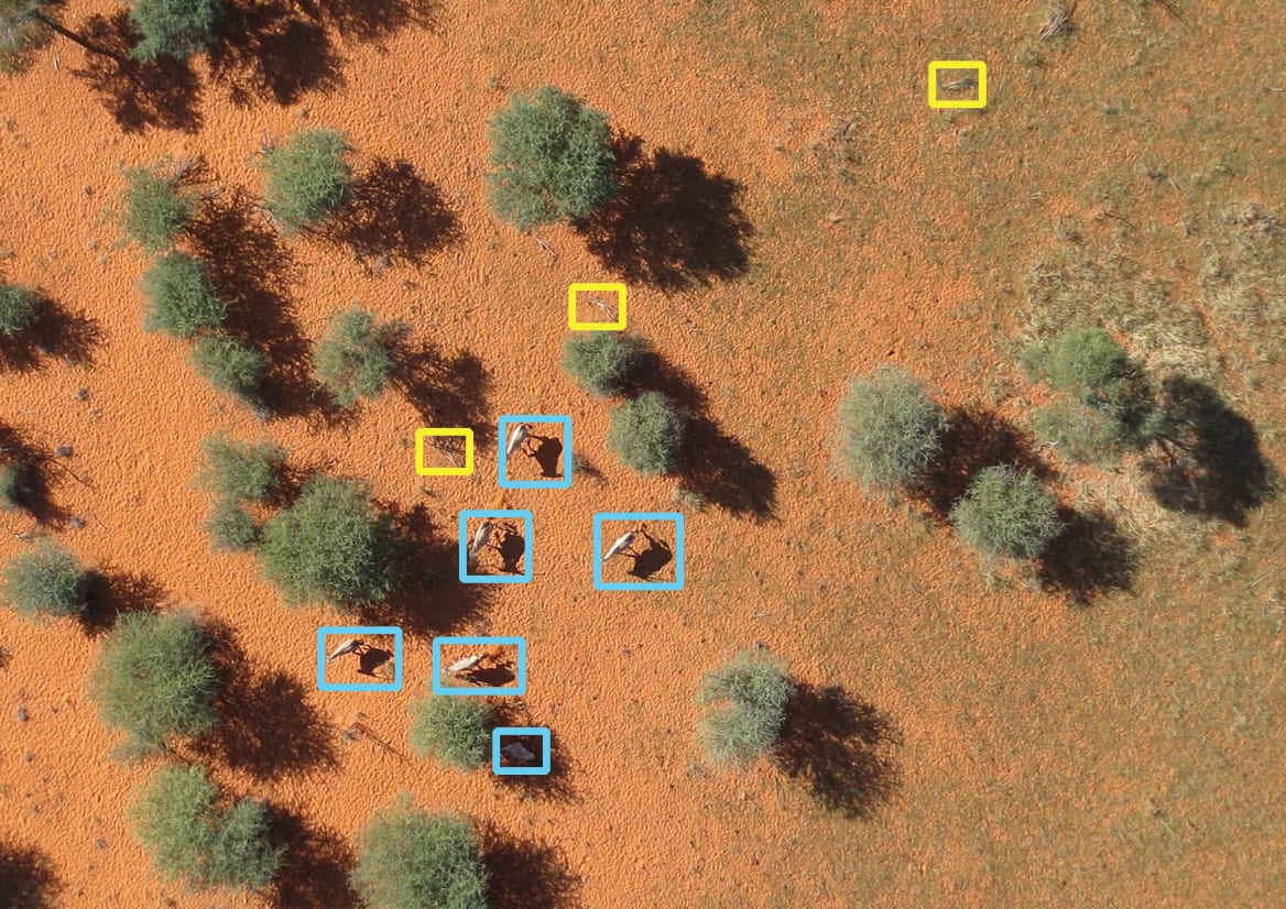 Drones_Image_Analysis