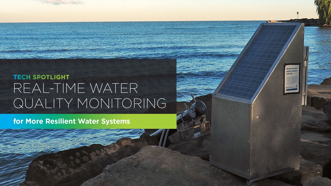 Real-Time Water Quality Monitoring