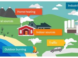 How AI and Data Science Are Revolutionizing Environmental Monitoring
