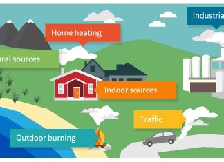How AI and Data Science Are Revolutionizing Environmental Monitoring